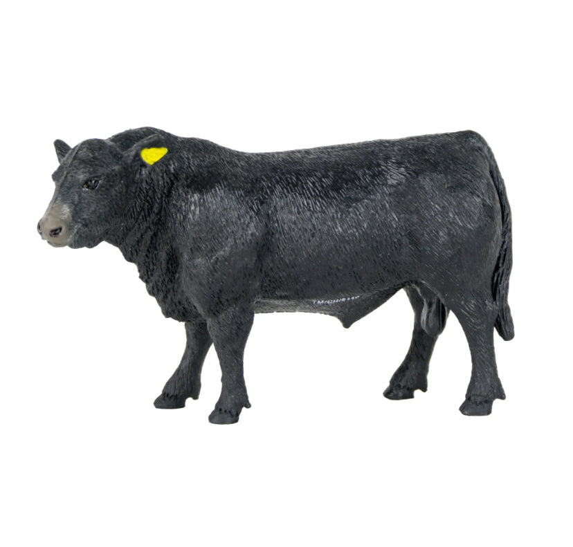 401 black angus bull