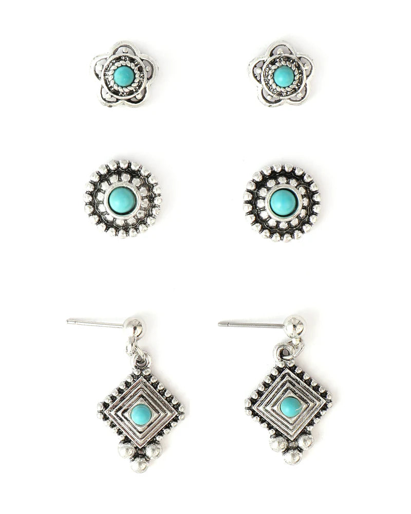 CCERR100 Cowgirl Confetti Earrings