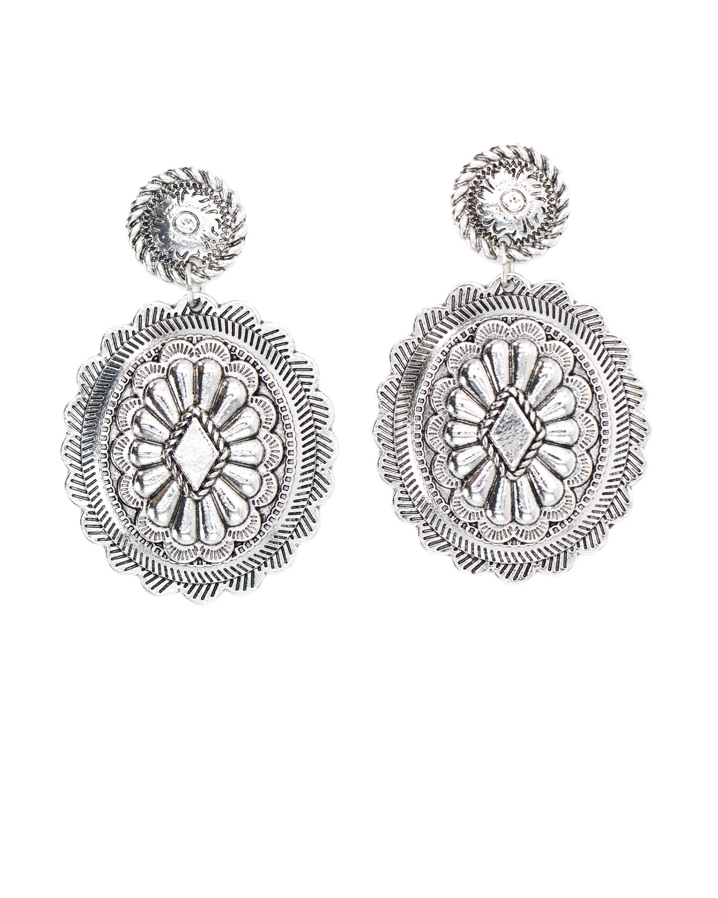 CCERR41 Cowgirl Confetti Earrings