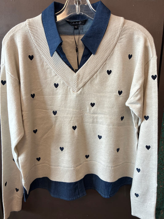 C2084-646A Charlie B Women's Sweater