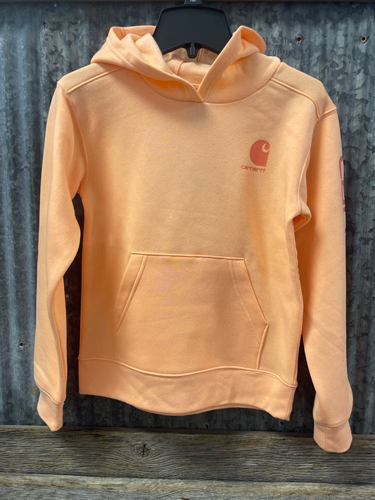 CA7131-CP65 Carhartt Long-Sleeve Graphic Sweatshirt