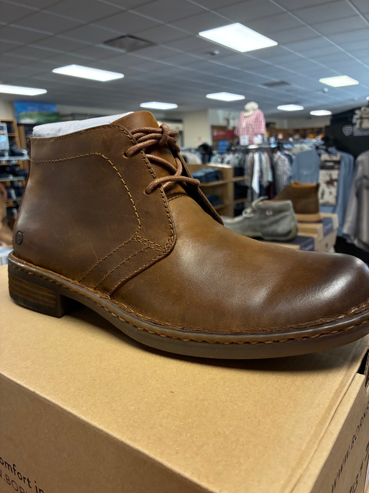 H32706 Men's Born Shoes Harrison Brown