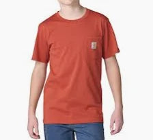 CA6875 RG0 BD Carhartt Pocket T-Shirt