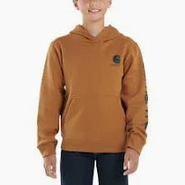 CA6272 D15 Carhartt Boys Sweatshirt